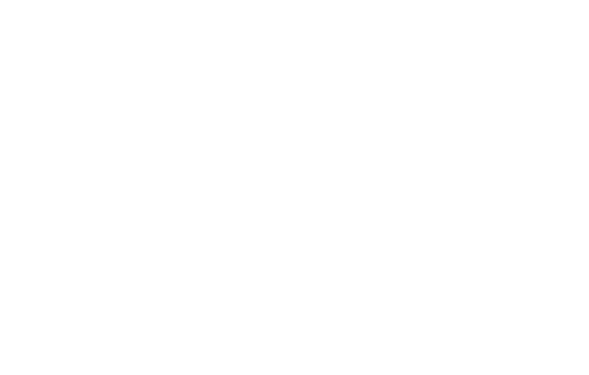 Portafolio